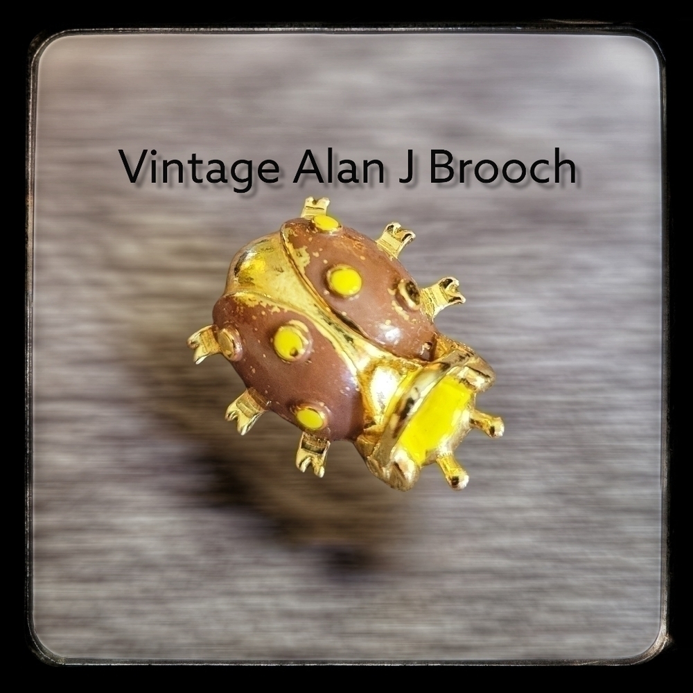 ALAN J 1980s Rare Ladybug Headphones Novelty Kidcore Brooch Pin